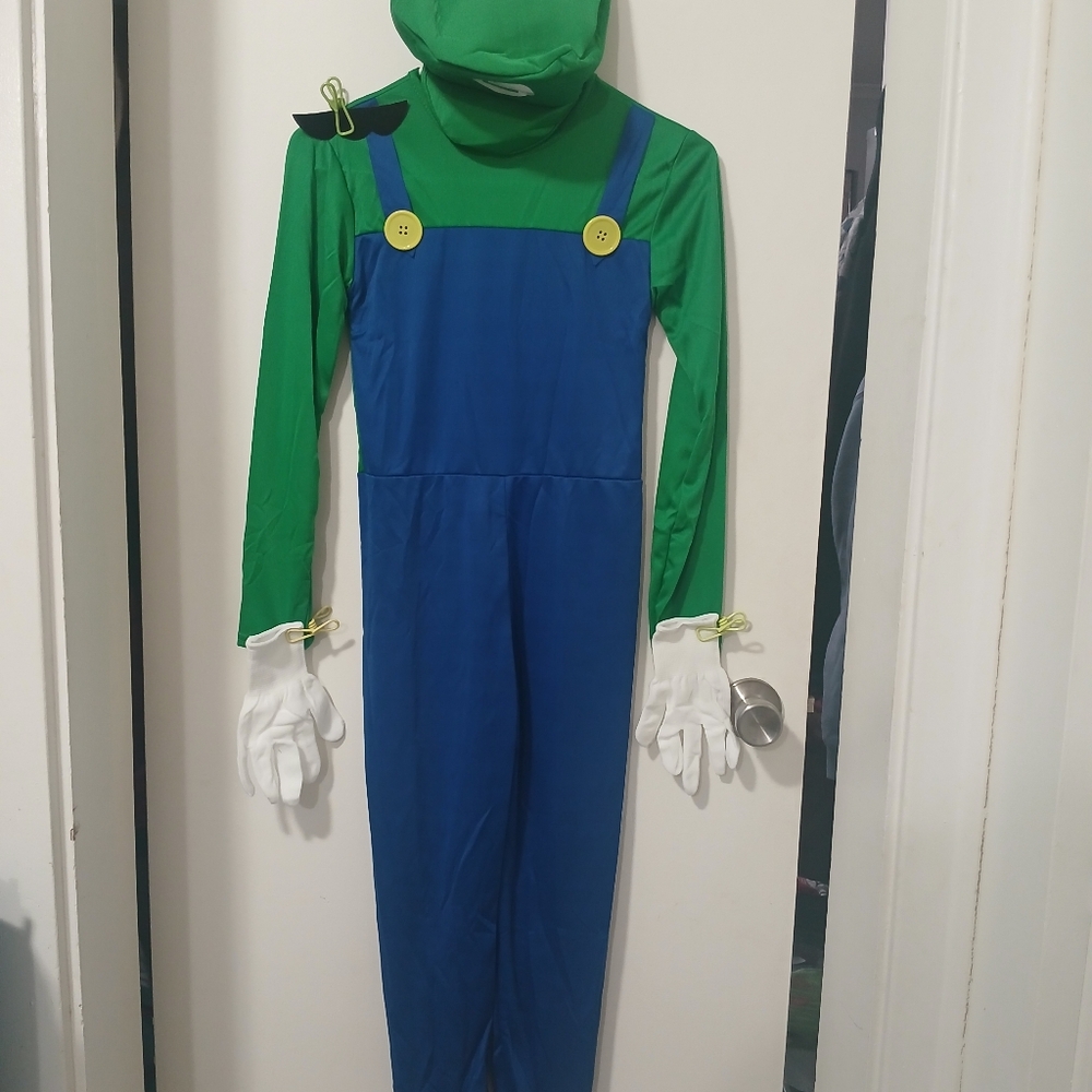 Halloween Costume  Luigi  Character